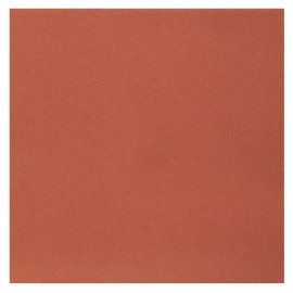 25 serviettes voie sèche 40x40cm - Terracotta
