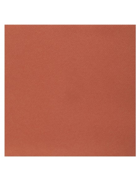 25 serviettes voie sèche 40x40cm - Terracotta