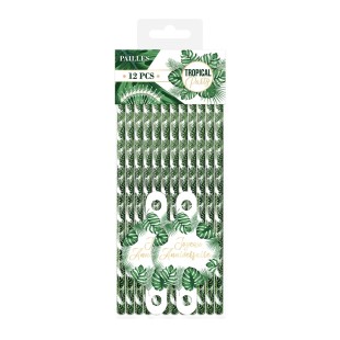 Urne anniversaire tropical 2