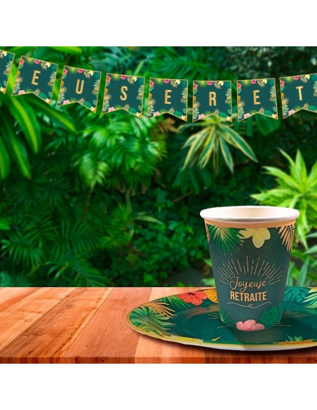 Guirlande fanions Retraite