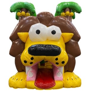 Parcours obstacles Pirates 2