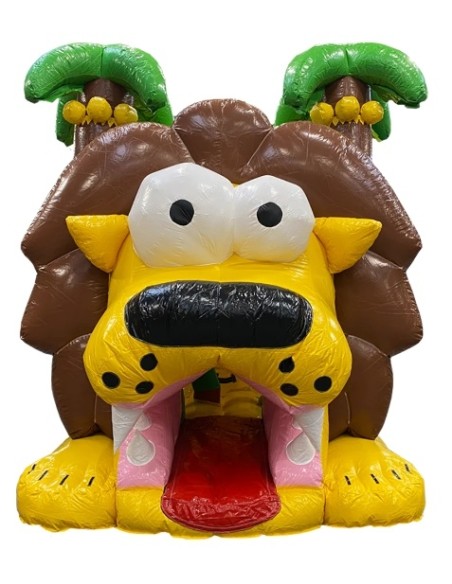 Parcours obstacles Pirates