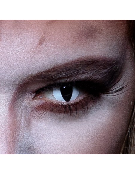 Lentilles Creep - 1 semaine