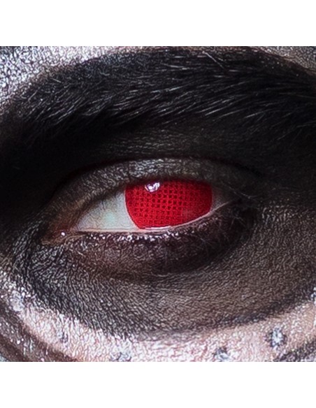 Lentilles Chat blanc - 1 semaine