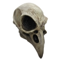 Masque Crow skull