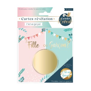 Pack 16 Stickers T-Shirt Gender Reveal 2