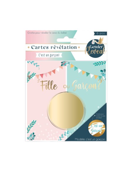 Pack 16 Stickers T-Shirt Gender Reveal