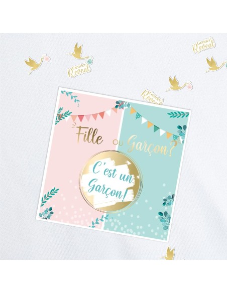 Pack 16 Stickers T-Shirt Gender Reveal