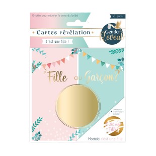 Sachet 6 Cartes Gender Garçon 2