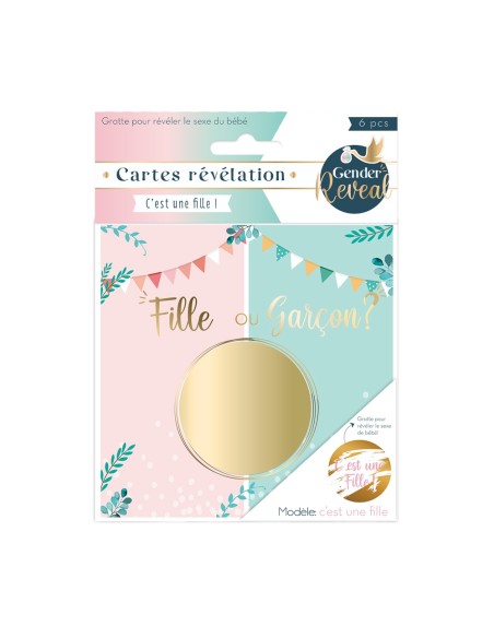 Sachet 6 Cartes Gender Garçon