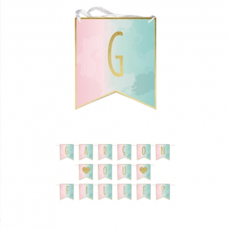 Sachet 6 Cartes Gender Fille