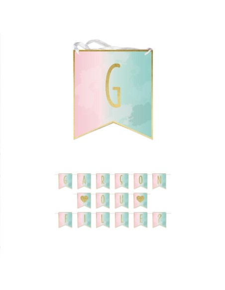 Sachet 6 Cartes Gender Fille