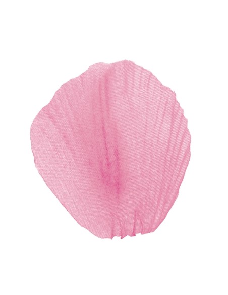 100 pétales avec feuilles - Blanc