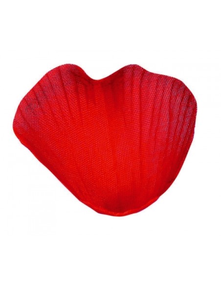 100 pétales avec feuilles - Blanc