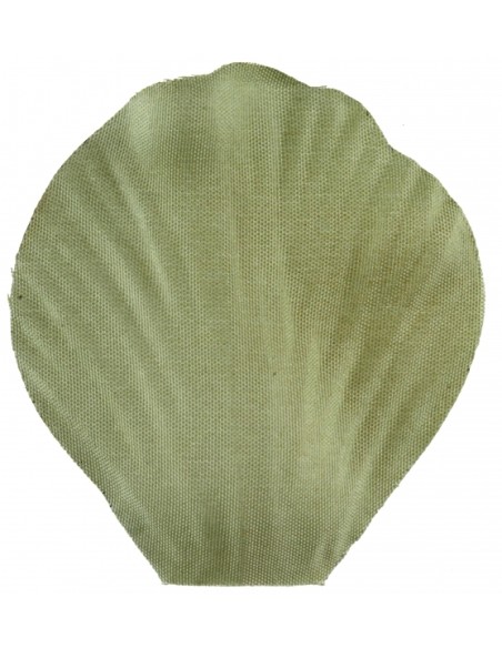 100 pétales avec feuilles - Blanc