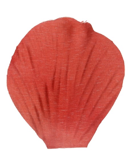 100 pétales avec feuilles - Blanc