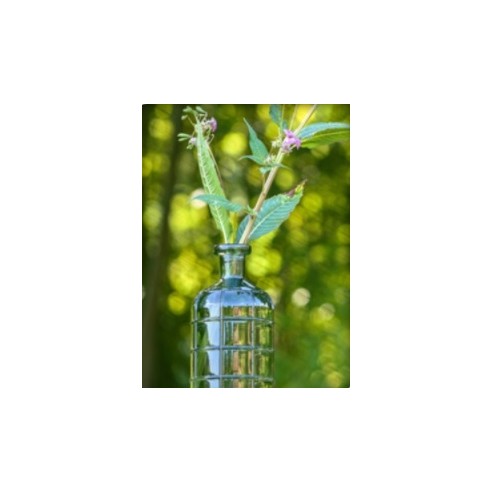 Location vase Luca vert océan 28cm