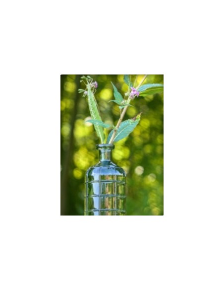 Location vase Luca vert océan 28cm