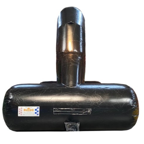 Parcours obstacles Lion