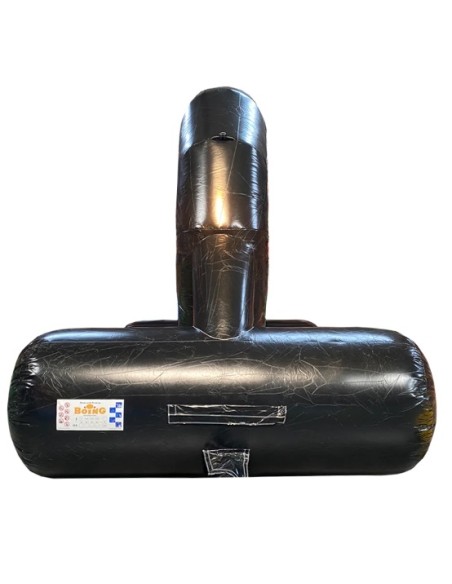 Parcours obstacles Lion