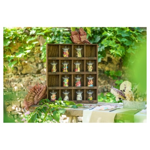 Location grand chariot bois et métal