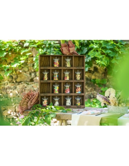 Location grand chariot bois et métal