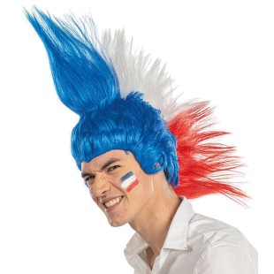 Perruque Punk France