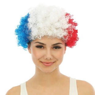 Perruque pop tricolore