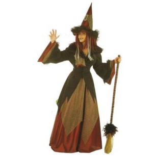 Location costume Sorcière