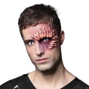 Lentilles Dragon - 1 semaine 2