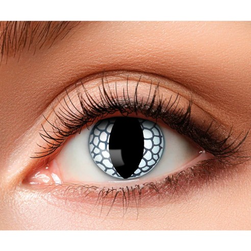 Lentilles Dragon - 1 semaine