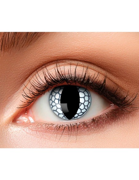 Lentilles Dragon - 1 semaine