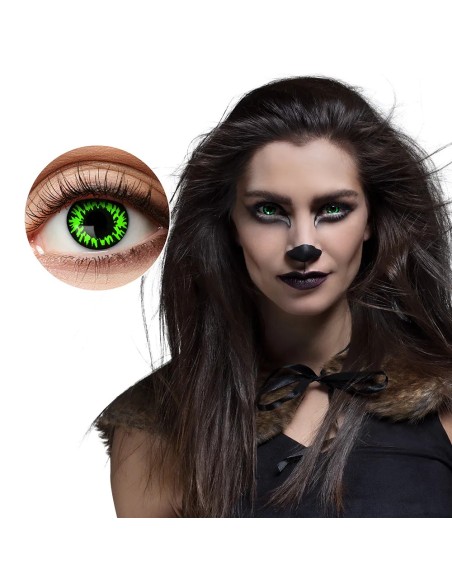 Lentilles She-wolf - 1 semaine