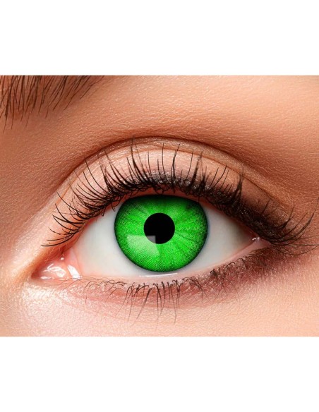 Lentilles Franky - 1 semaine