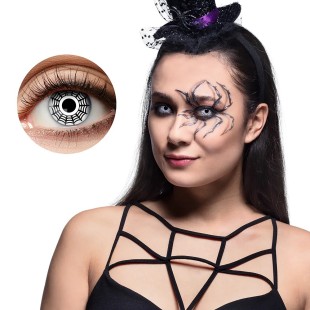 Lentilles Araignée- 1 semaine