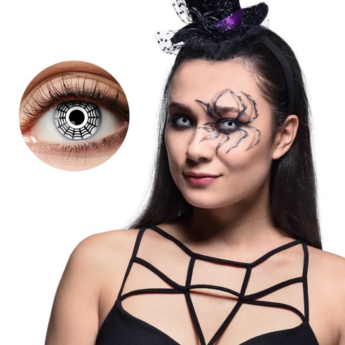 Lentilles Araignée- 1 semaine