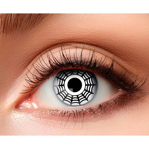 Lentilles Araignée- 1 semaine
