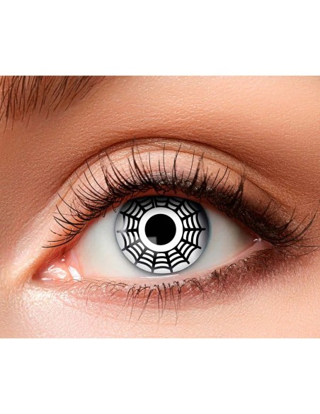 Lentilles Araignée- 1 semaine