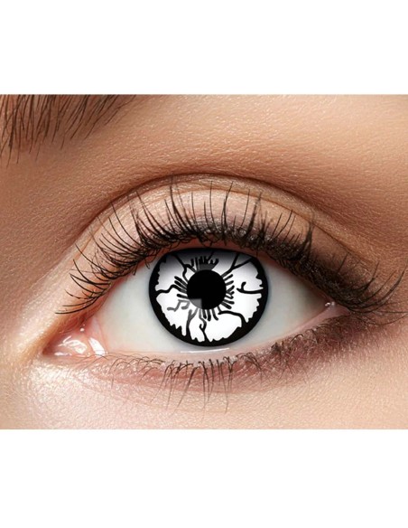 Lentilles Epouvantail - 1 semaine