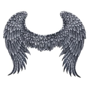 Déguisement - Ailes d'ange blanches 50cm - Festimania 2