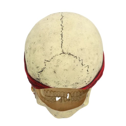 Masque latex Pirate tête de mort