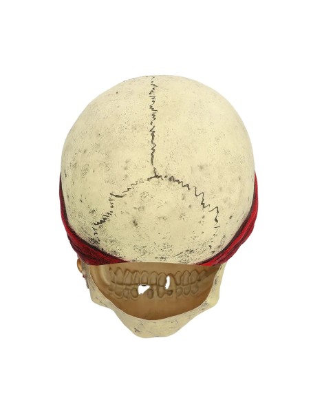 Masque latex Pirate tête de mort