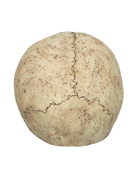 Masque latex tête de mort