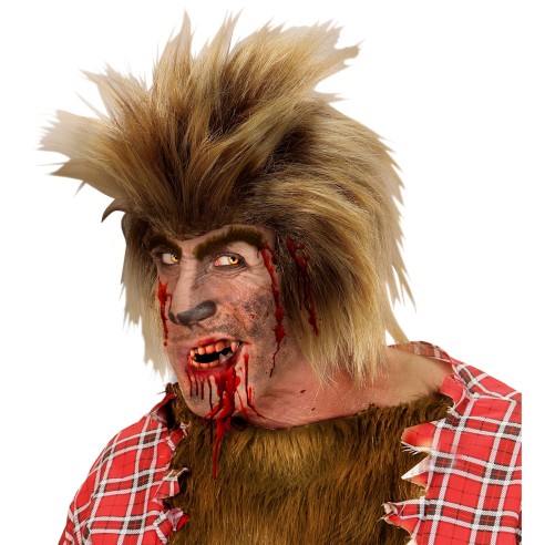 2 petites canines vampire dans cercueil, accessoire costume Dracula