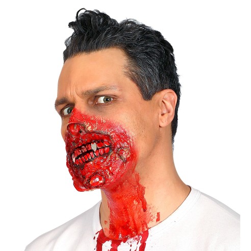 2 petites canines vampire dans cercueil, accessoire costume Dracula