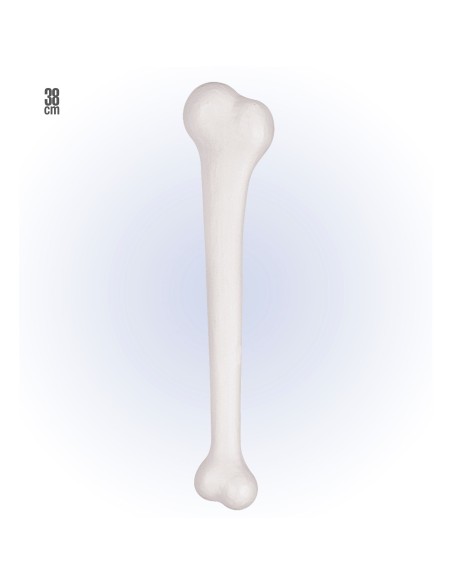 Os blanc géant préhistorique 38cm chez Festimania