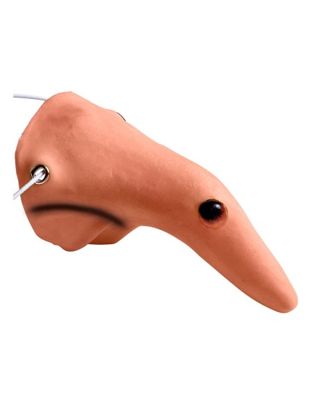 Nez de sorcière avec verrue accessoire déguisement pour Halloween