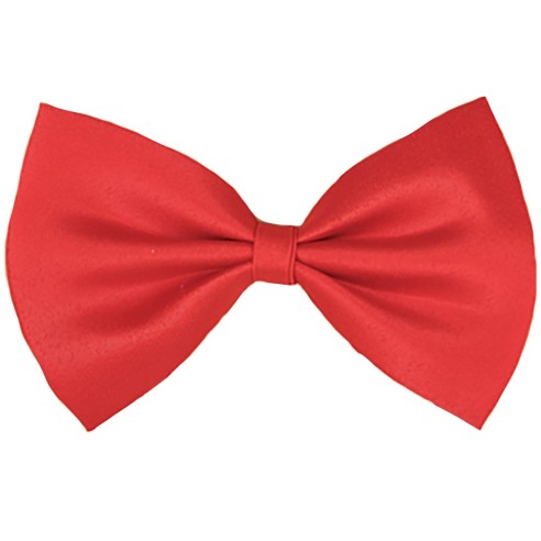 Noeud papillon couleur pour compléter un déguisement smoking