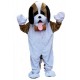 Mascotte Saint Bernard