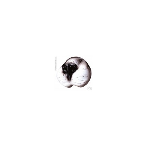 Nez de chat